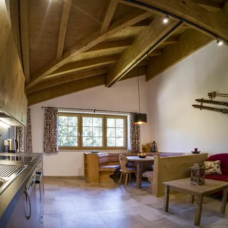 Chalet Stegerhof Premium App Dachstein Apartment