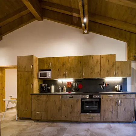 Chalet Stegerhof Premium App Dachstein