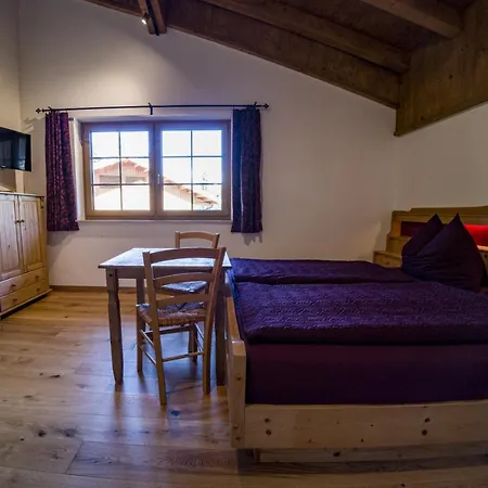 Chalet Stegerhof Premium App Dachstein